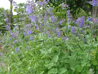 IMG_6144.webp