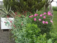 DSC02891.webp