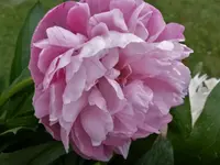 image015.webp