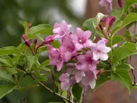 image017.webp