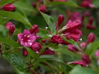 image019.jpg