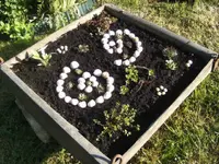 BILD9537.webp