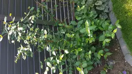 20180519_133752.webp