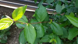 20180519_133804.webp