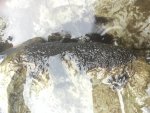 IMG_0248.jpg