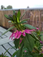 IMG_20180519_201630.webp