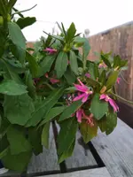 IMG_20180519_201602.webp