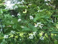BILD9538.webp