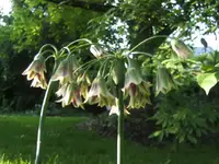 BILD9541.webp