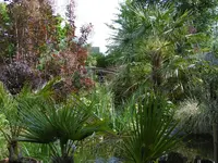 P1020417unterm Pavillon.webp