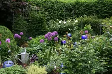 Mai3518.webp