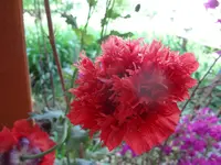 DSC02903.webp