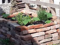 Kürbisbeet.webp