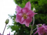 IMG_6153.jpg