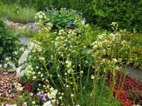 DSCF1097 (2).webp