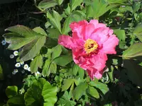 DSCF1064 (2).webp