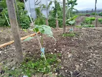 IMG_20180520_100412.webp