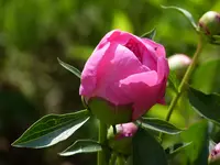 331D6CB9-C1D6-457D-8C17-D7E23171C62D.jpeg