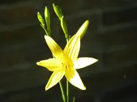 2CA0B59A-08B8-460C-A6D3-6DAFA2B29DCD.jpeg