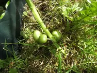 BILD9561.webp