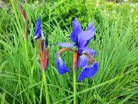 DSCF1082 (2).webp
