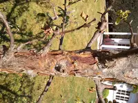 IMG_20180521_113622.webp