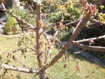 IMG_20180521_113544.jpg