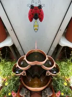 c038.webp