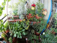 c041.webp