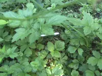 BILD9601.webp