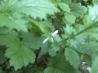 BILD9603.webp