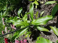 20180521_113546.webp