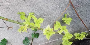 20180521_194726.webp