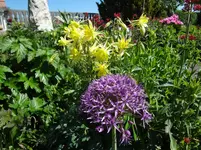 DSC02910.webp