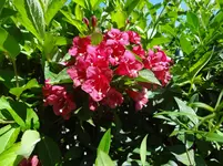 DSC02913.webp