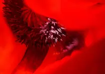 2018mhn02.webp