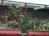 BILD9545.webp