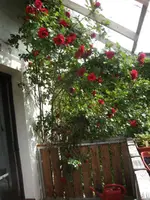 BILD9547.webp