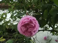 BILD9553.webp