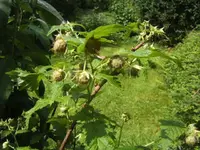 BILD9554.webp