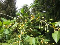 BILD9557.webp