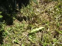 BILD9598.webp