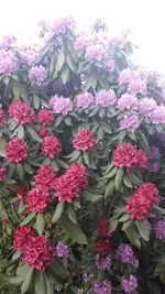 IMG-20180517-WA0024.jpg