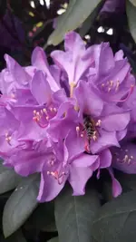 IMG-20180517-WA0030.jpg