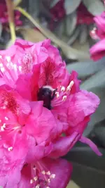 IMG-20180517-WA0032.jpg