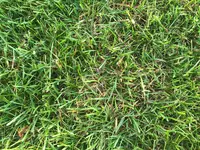 IMG_2732.webp