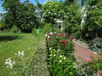 DSC02943.jpg