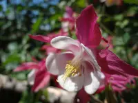 DSC02918.webp