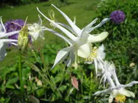 DSC02908.webp