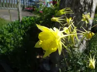 DSC02911.webp